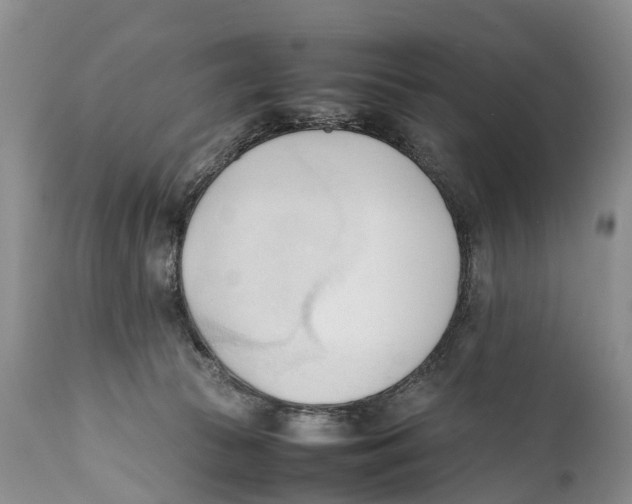 X0000111950177200908241213