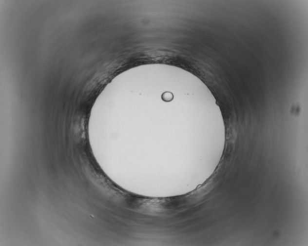 X0000111950182200908241213