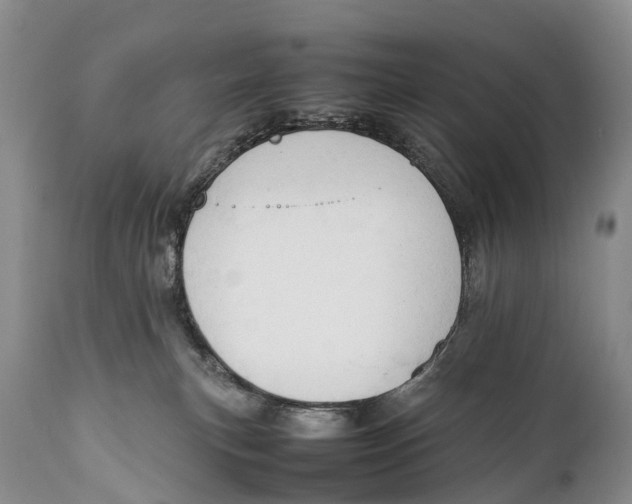 X0000111950183200908241213
