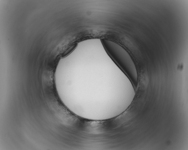 X0000111950184200908241213