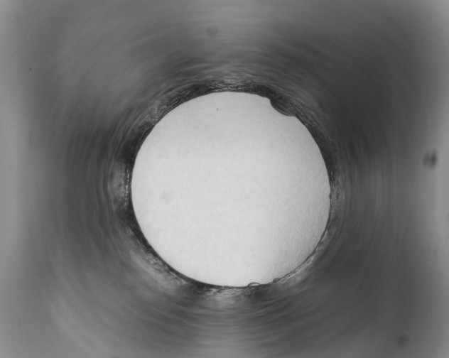 X0000111950186200908241213
