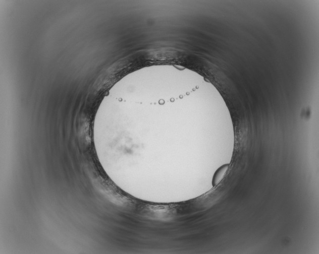 X0000111950187200908241213