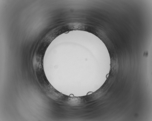 X0000111950189200908241213