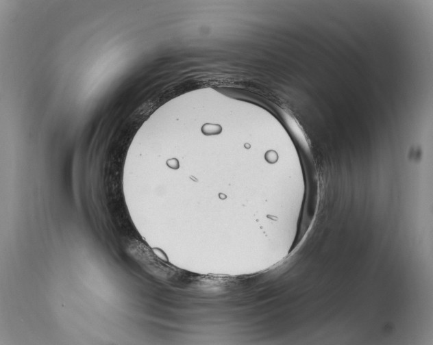 X0000111950190200908241213