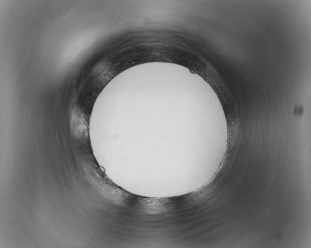 X0000111950191200908241213