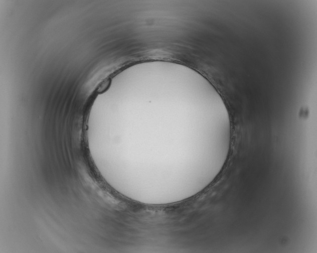 X0000111950194200908241212