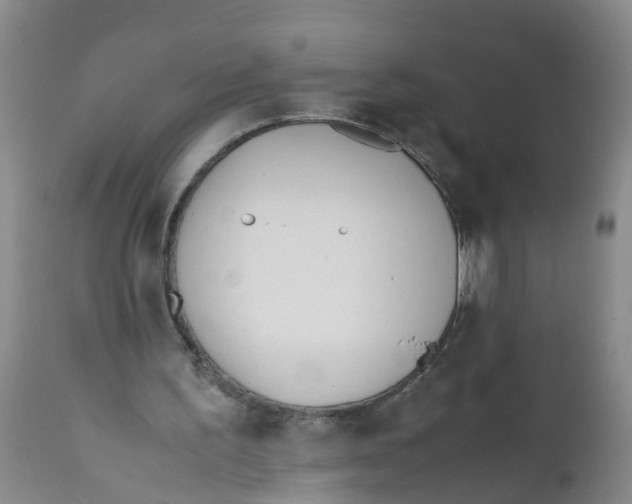 X0000111950195200908241212