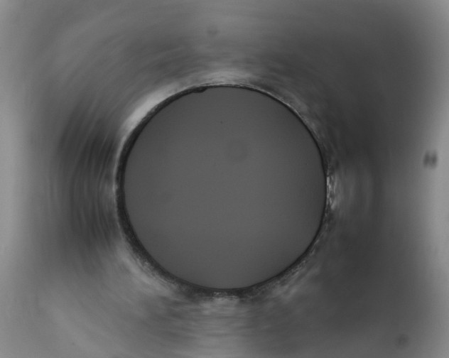 X0000111950196200908241212