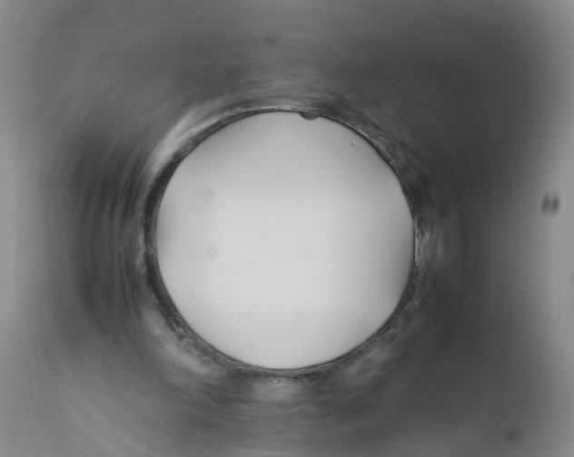 X0000111950198200908241212