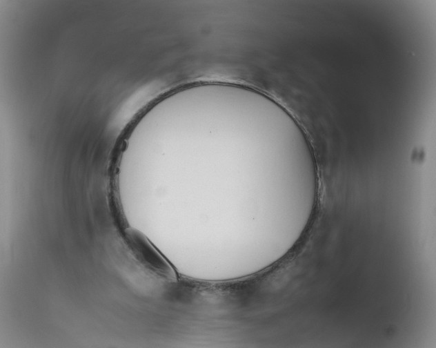 X0000111950199200908241212