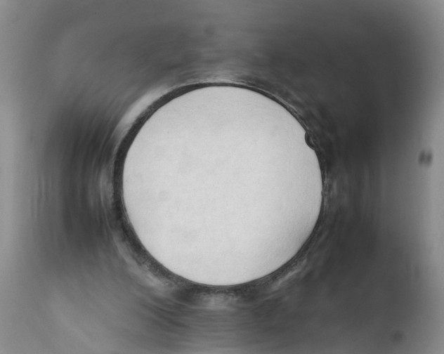 X0000111950200200908241212