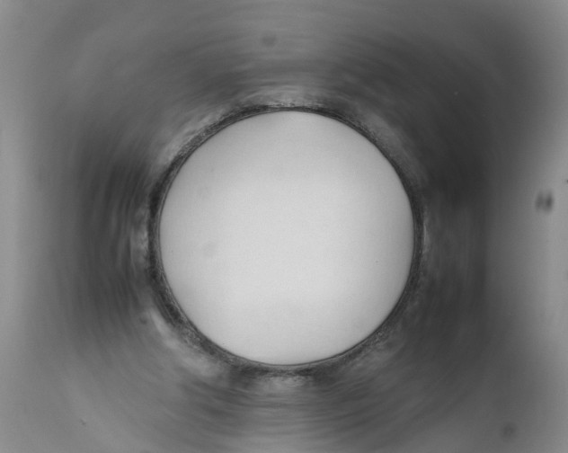 X0000111950202200908241212