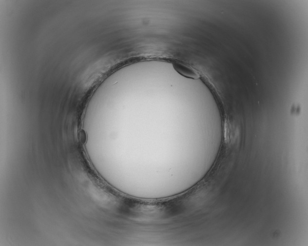 X0000111950205200908241212