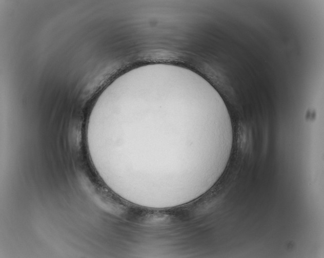 X0000111950206200908241212