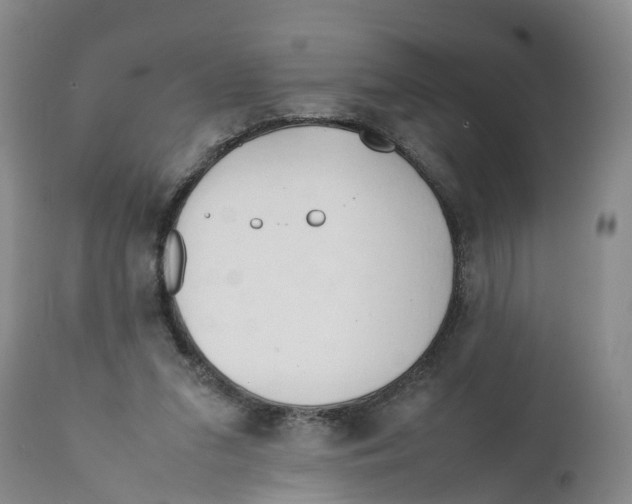 X0000111950207200908241212