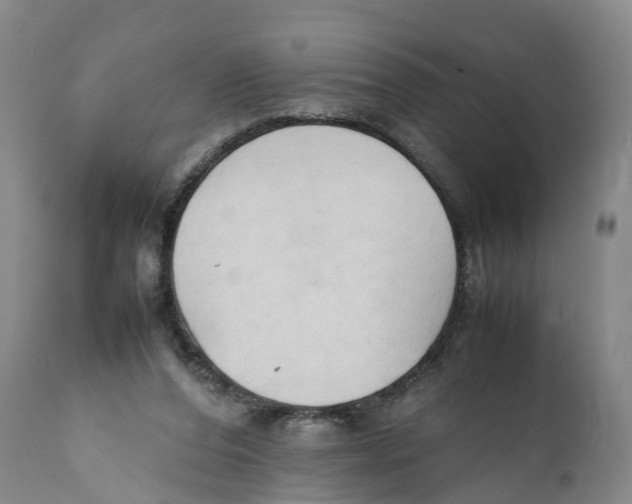 X0000111950208200908241212