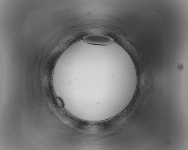 X0000111950209200908241212