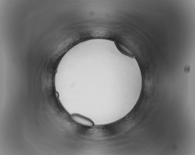X0000111950211200908241212