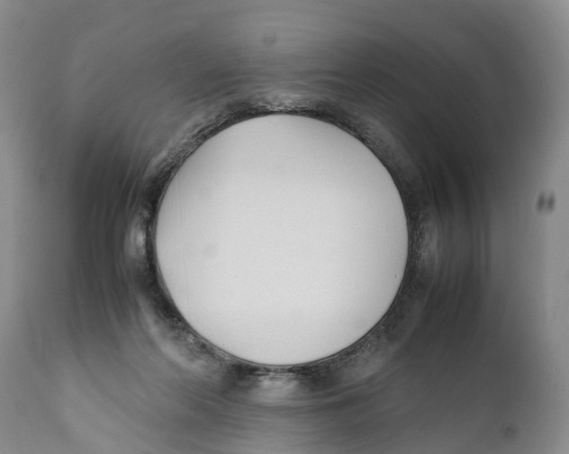 X0000111950214200908241212