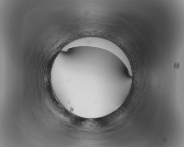 X0000111950215200908241212