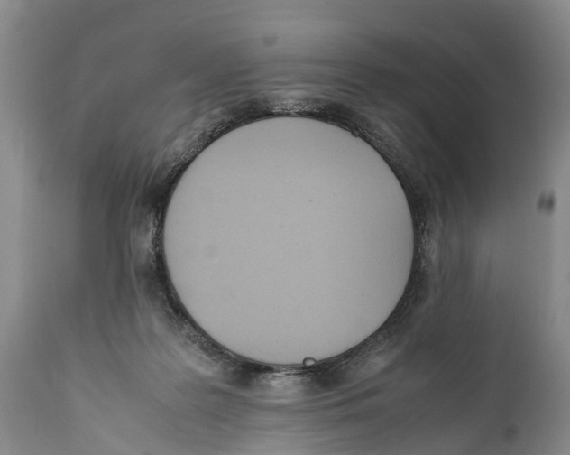 X0000111950219200908241212