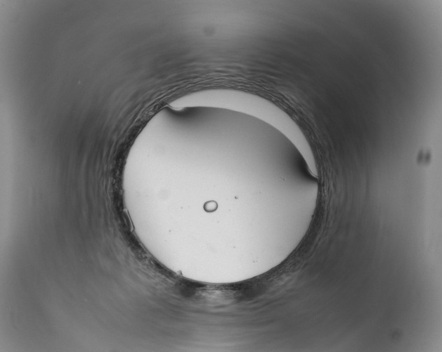 X0000111950221200908241212
