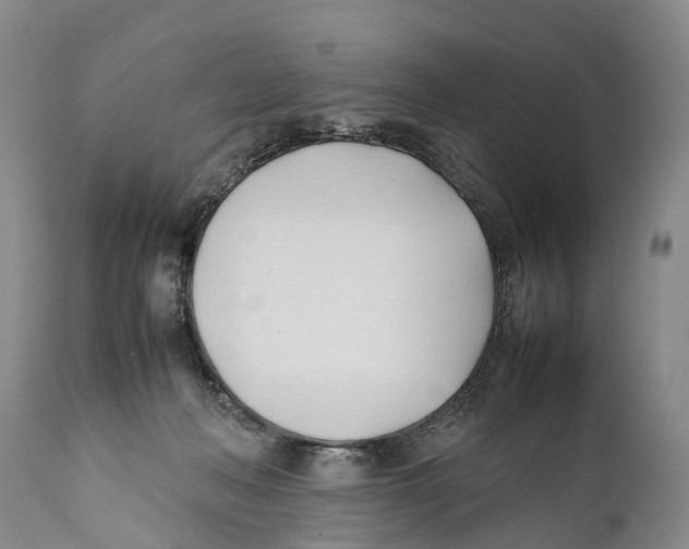 X0000111950222200908241212