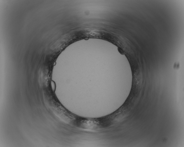 X0000111950223200908241212