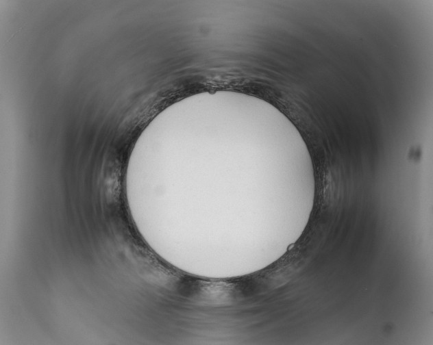X0000111950226200908241212
