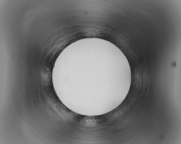X0000111950228200908241212