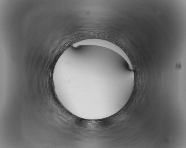 X0000111950229200908241212