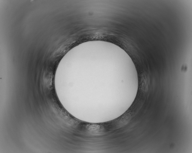 X0000111950230200908241212