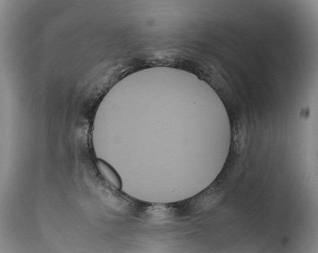 X0000111950231200908241212