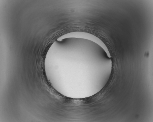 X0000111950233200908241211