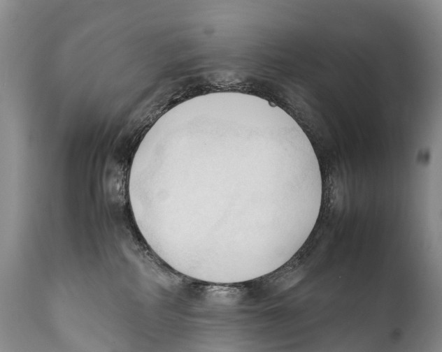 X0000111950234200908241211
