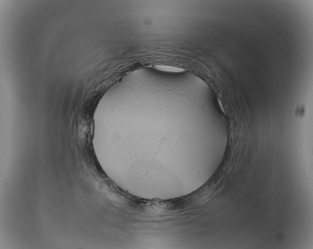 X0000111950235200908241211