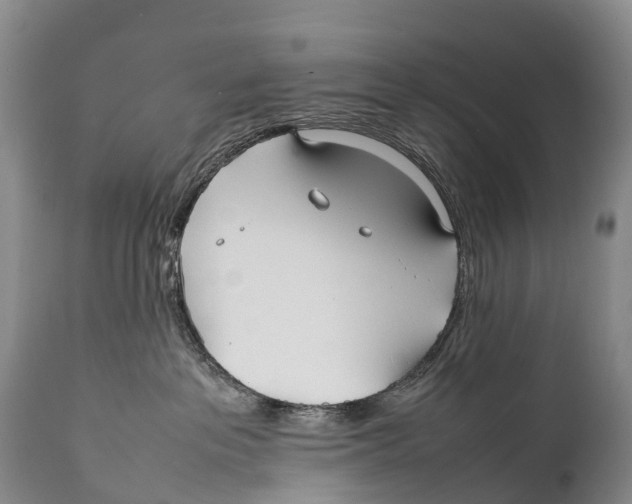 X0000111950237200908241211