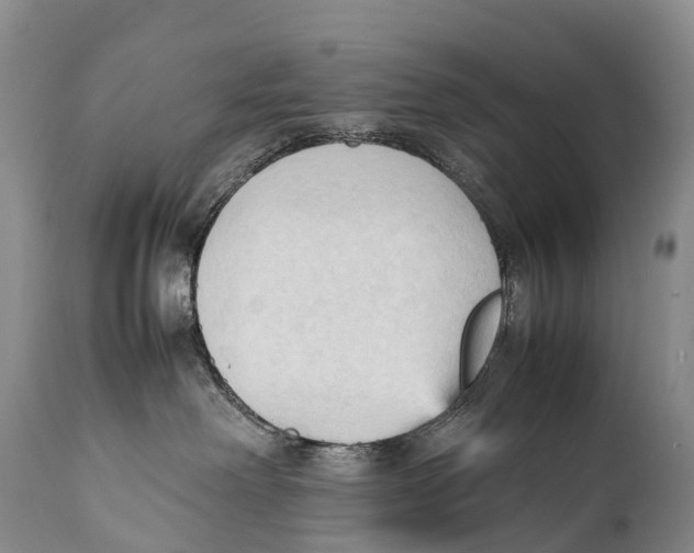 X0000111950238200908241211