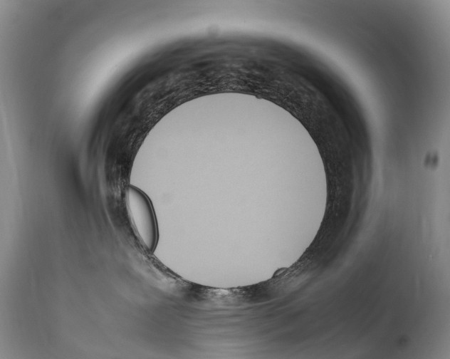 X0000111950239200908241211