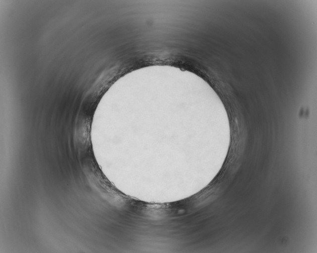 X0000111950240200908241211