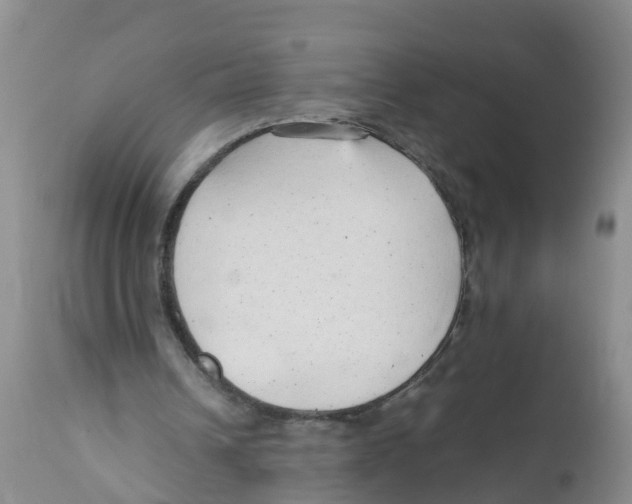 X0000111950242200908241211