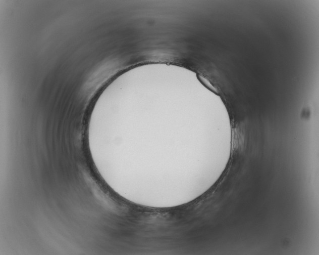 X0000111950243200908241211