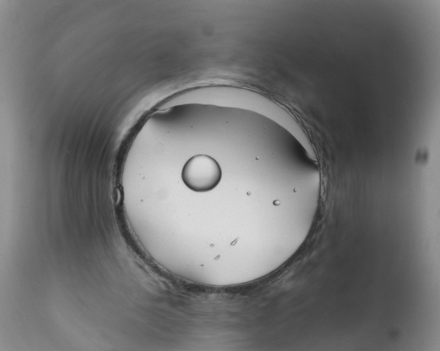 X0000111950244200908241211