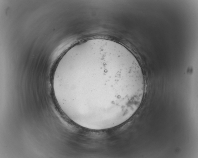 X0000111950245200908241211