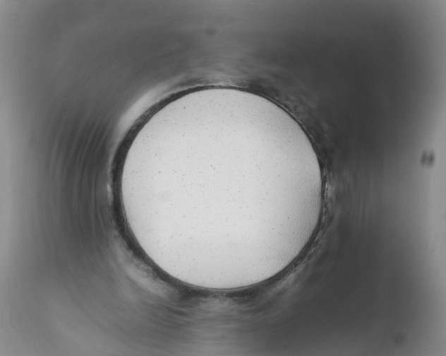 X0000111950246200908241211