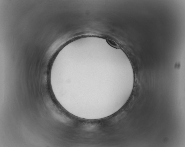 X0000111950247200908241211