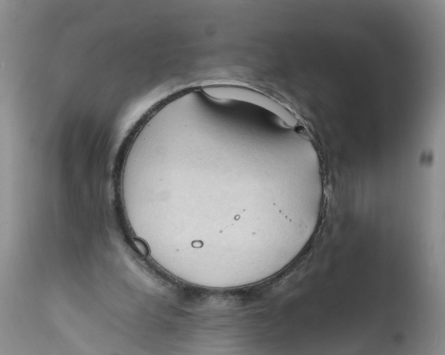 X0000111950248200908241211