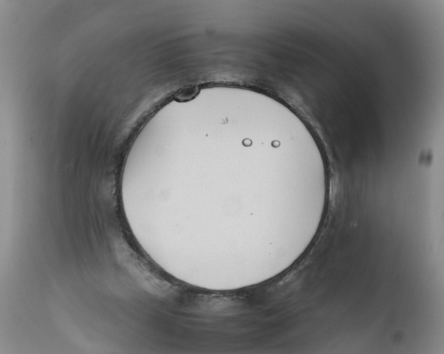 X0000111950249200908241211