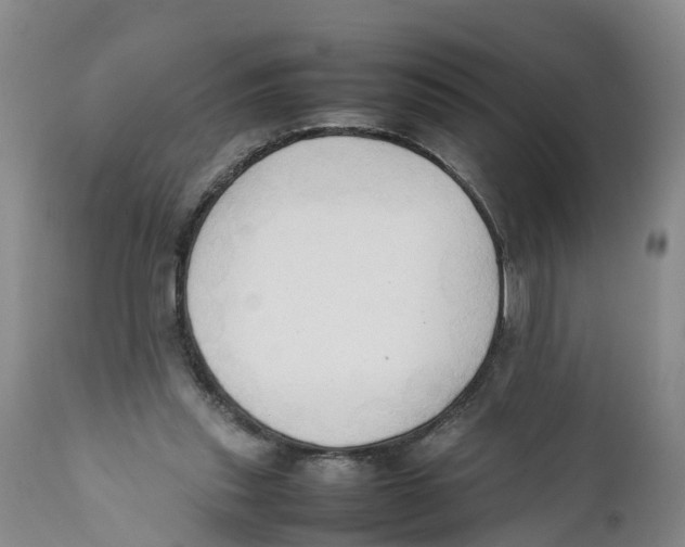X0000111950253200908241211