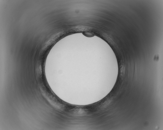 X0000111950254200908241211